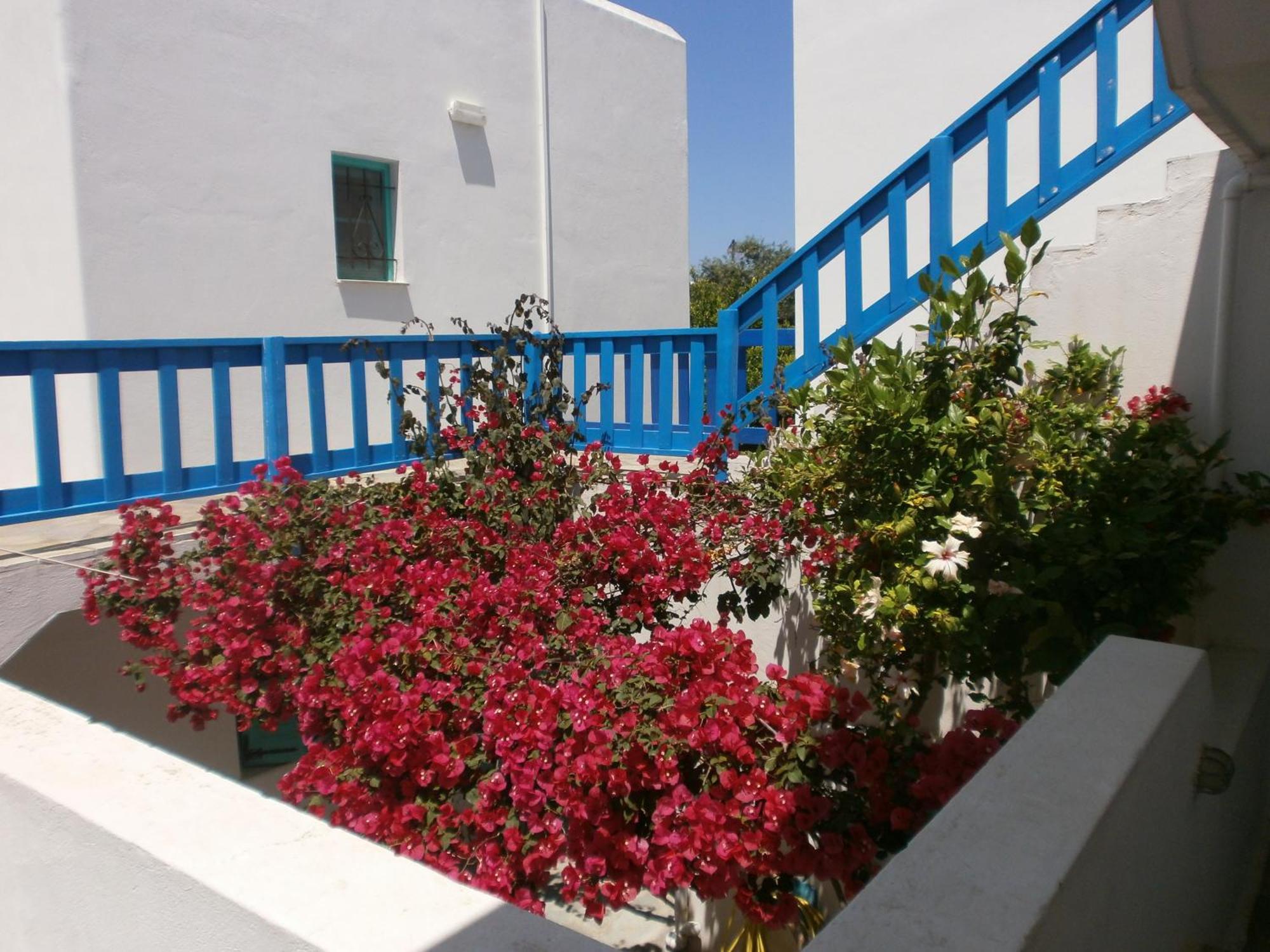 Aegean Village ปาริเกีย ห้อง รูปภาพ